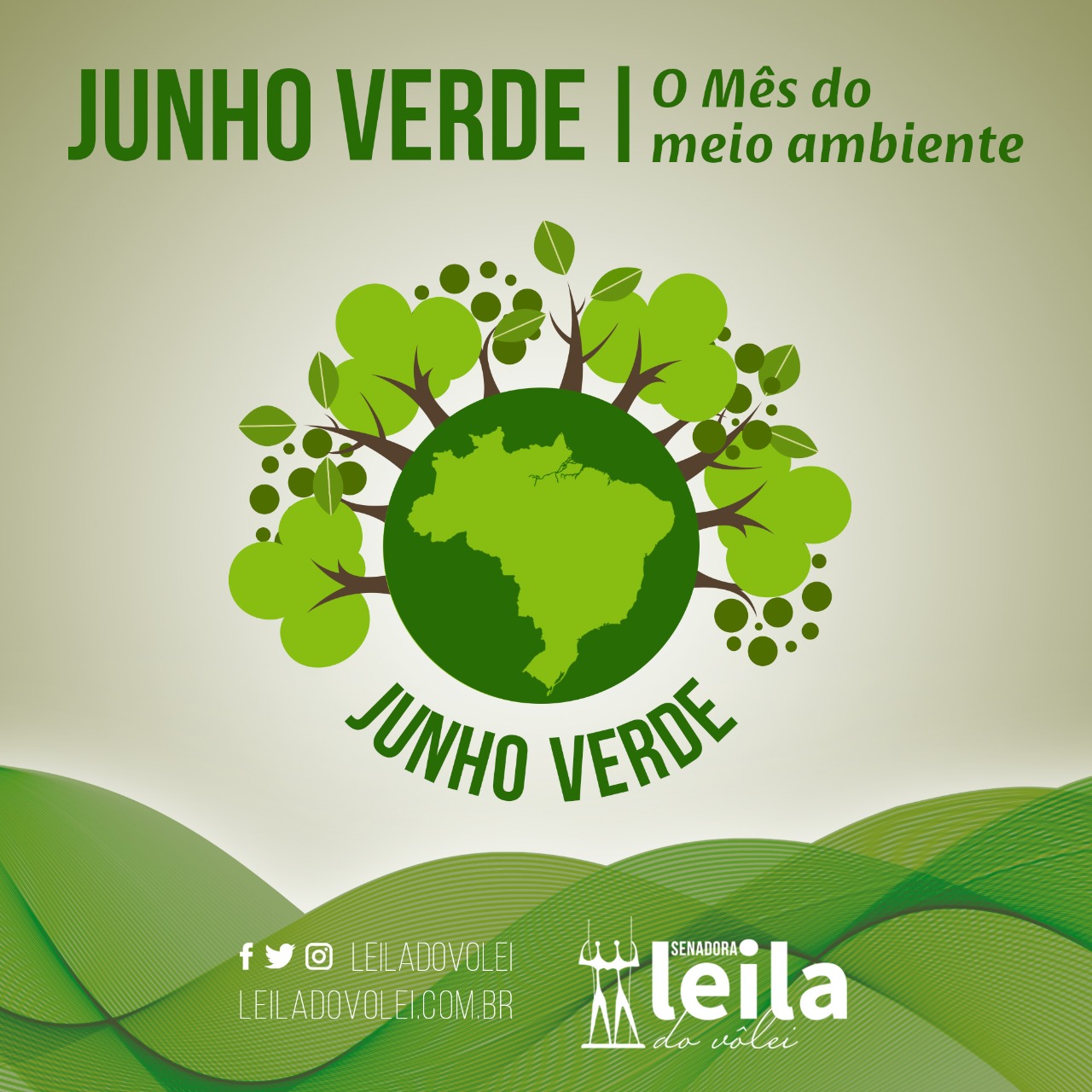 Junho Verde Senado Ter M S Dedicado Agenda Ambiental Leila Do V Lei